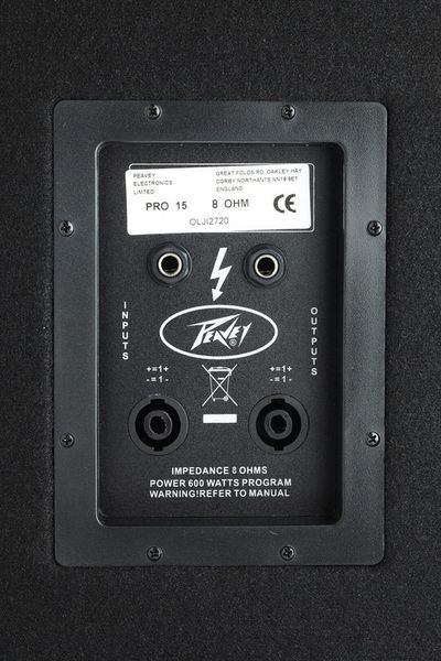 Peavey 2024 15 pro