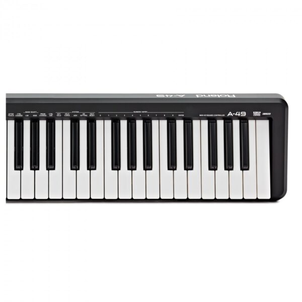 Roland A49 MIDI Controller Keyboard Black